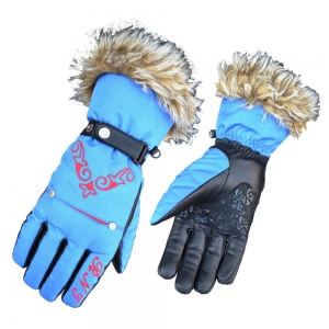 Ski Gloves-HLI-509 B